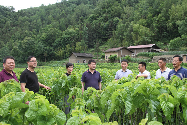 安康市商務(wù)局領(lǐng)導(dǎo)來我公司調(diào)研春蠶收購及扶貧點蠶?；亟ㄔO(shè)情況